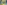 DALL·E 2025-03-25 08.28.23 - A digital illustration representing Cronos (CRO) token surging due to a major ETF announcement and upcoming zkEVM upgrade. The image features a glowin